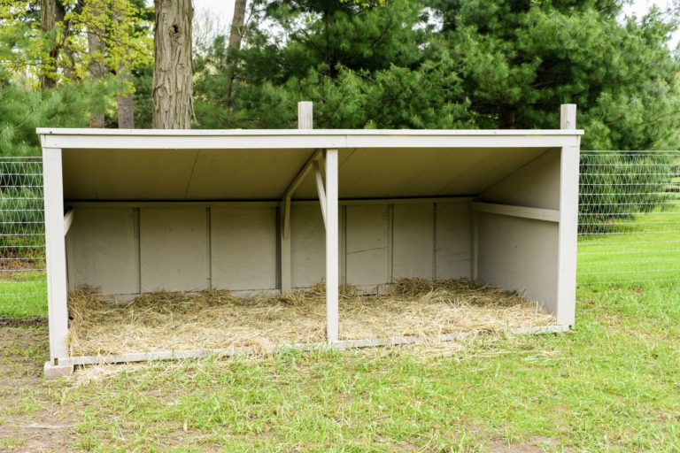 A New Shelter For My Geese - The Martha Stewart Blog