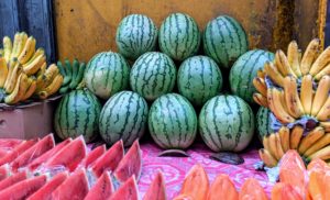 These watermelons are from Iloilo on Panay Island in the Philippines - one of the country's biggest sources for these sweet fruits.
