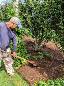Mulch is great for the garden. It insulates the soil from both hot and cold temperatures, retains water to keep the roots moist, helps keep weeds at bay and prevents soil compaction.