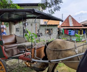 This is called a kalesa, a horse-drawn calash used in the Philippines. It was one mode of transportation introduced to the islands in the 18th century by Spanish colonizers. Today, it is seldom used, but I rode it part way down the driveway with Andy leading the way.