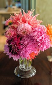 Another arrangement sits on the dining table. At the end of the growing season, dig and store dahlia tubers for the winter to replant next year.