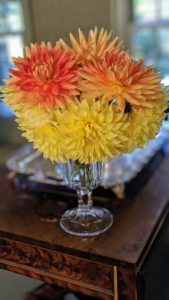 And then created several colorful arrangements in glass vases. The stems don't have to be too long - we cut these to about a foot each and then trimmed them indoors to fit these vessels.