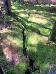 I call this the “slit” – I just love how the moss covers the area.