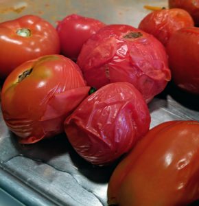 Next, they’re removed from the ice-water. These tomatoes are now ready to be peeled and seeded – see the skins? They are already separating.