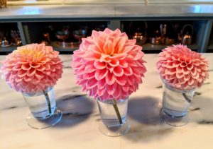 These three single blooms look so pretty right on my kitchen counter.