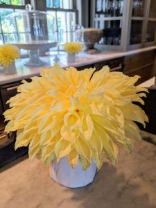 I used these big dinner-plate dahlias in my servery.