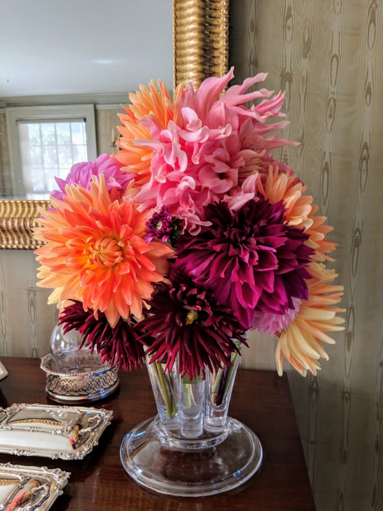 Beautiful Dahlia Arrangements from My Garden The Martha Stewart Blog