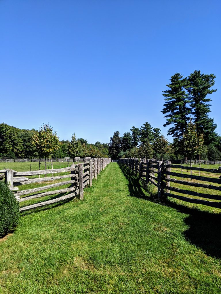 A Special Late Summer Garden Tour - The Martha Stewart Blog