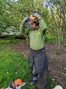 Chhewang is our resident "tree manager" - he has become an excellent pruner, and oversees a lot of the smaller tree pruning and cutting projects at the farm. Here he is donning his safety equipment - chainsaw apron chaps, a hard hat with eye and ear protection, and gloves – safety is very important.