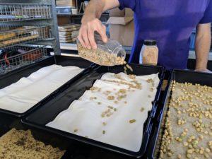 Here is Ryan pouring more pea seeds onto the mat's surface. These seeds are not spaced in rows, but still have ample room to grow.