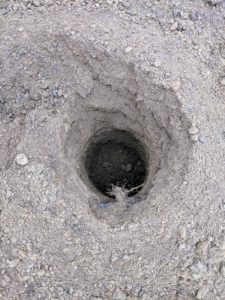 Here is what is left after the auger digs the hole. It is such a time-saving tool.