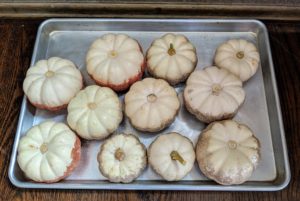 Mini pumpkin gourds were glittered using my Martha Stewart Metallic Glitter from Michaels. https://bit.ly/2VrY1Hg