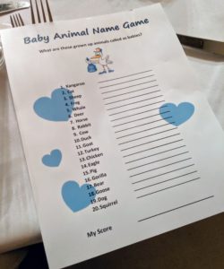 To add to the festivities, Heather and Dorian came up with a couple of games. This sheet asked everyone to fill out what each animal baby was called. Do you know what a baby squirrel is called?