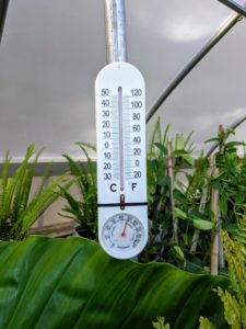 The heater is checked a couple times each day to make sure the temperature remains comfortably warm inside. Too cold, plants will freeze – too hot, plants will rot. This greenhouse is always kept above 50-degrees Fahrenheit.