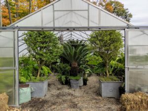 The greenhouses were filled quickly. Back down at the tropical hoop house, look how organized and tidy it is. The weather and schedule allowed the team time to make the greenhouses look great. These plants will be very happy here this winter.