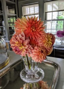 Dahlias come in almost every color except true blue. Here is an arrangement of pink, salmon, and peach-colored dahlias.