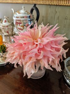 Dahlias range from small to dinner-plate size like this one.