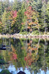 Cheryl captured this photo of the beautiful reflection in Jordan Pond. Jordan Pond covers 187-acres with a maximum depth of 150-feet. The pond was formed by the Wisconsin Ice Sheet during the last glacial period. It serves as the water supply for the village of Seal Harbor.