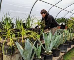 Ryan adjusts the plants in this greenhouse, so every specimen has ample air circulation. The shelves here are also tiered to use up all the space in the structure.