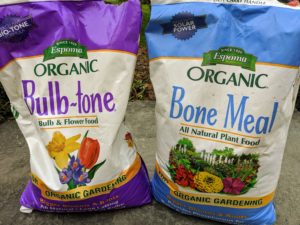 The first thing before planting bulbs is to prepare the bed with the proper bulb food. We always add Bulb-tone and Bone Meal to our nutrient-rich soil. The food should be a balanced fertilizer that has a good amount of phosphorous. Fertilizing spring-blooming bulbs also helps them fight off diseases and pests.