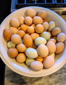Eggs are gathered from my wonderful hens and saved for the bisteeya.