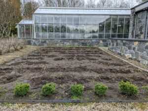 Now this garden bed is empty and ready for planting the next crop. I wonder what it will be. How did you prepare your dahlias for storage? Share your gardening comments with me in the section below.
