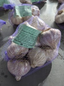 Pehoski Purple-Marbled Purple Stripe is a hardneck that’s hot when eaten raw and more mild and earthy in taste after it is cooked. This is an heirloom variety grown in the Polish community in Wisconsin. It’s an all-purpose garlic for baking and sautéing.