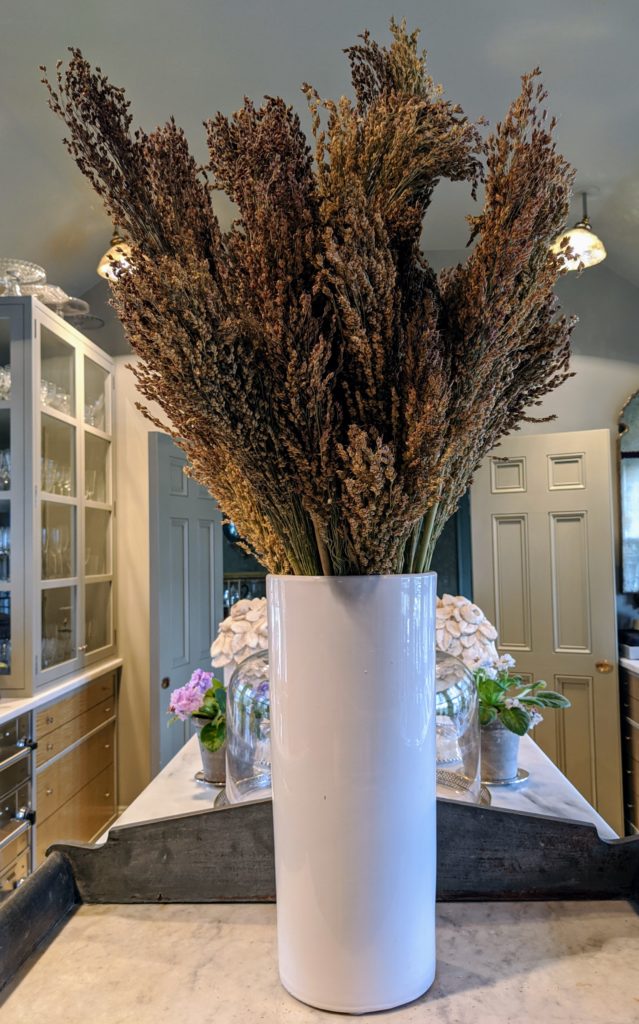 Harvesting Broom Corn The Martha Stewart Blog