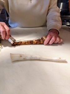 In my Winter House kitchen, I am making horseradish to serve with the pot-au-feu. Look how beautiful this fresh horseradish is – so white and very aromatic. It was harvested the same day.