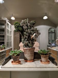 I like to use a wide assortment of interesting specimens. Ryan always brings in more than two dozen plants – it’s such an easy way to liven up any space, and guests love talking about the interesting plants on display, such as this coral cactus on my servery counter.