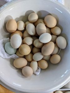 Always use the freshest eggs possible. As some of you may know, I have many chickens here at my farm, so I always have fresh, delicious eggs to use. If you don't have your own chickens, go to your local farmer's market - fresh eggs really make a big difference.