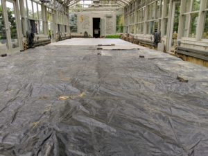 Soil solarization is an environmentally friendly method of using the sun’s power to control bacteria, insects, and weeds in the soil. Last August, we covered the raised beds with large tarps to trap the solar energy. Soil solarization works best on heavy soils containing clay, loam, or mixtures of them.