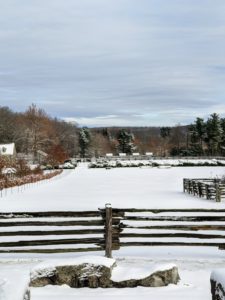 One never tires of this beautiful panoramic view of my paddocks. From this vantage point, it’s easy to see the four chicken coop rooftops in the distance.