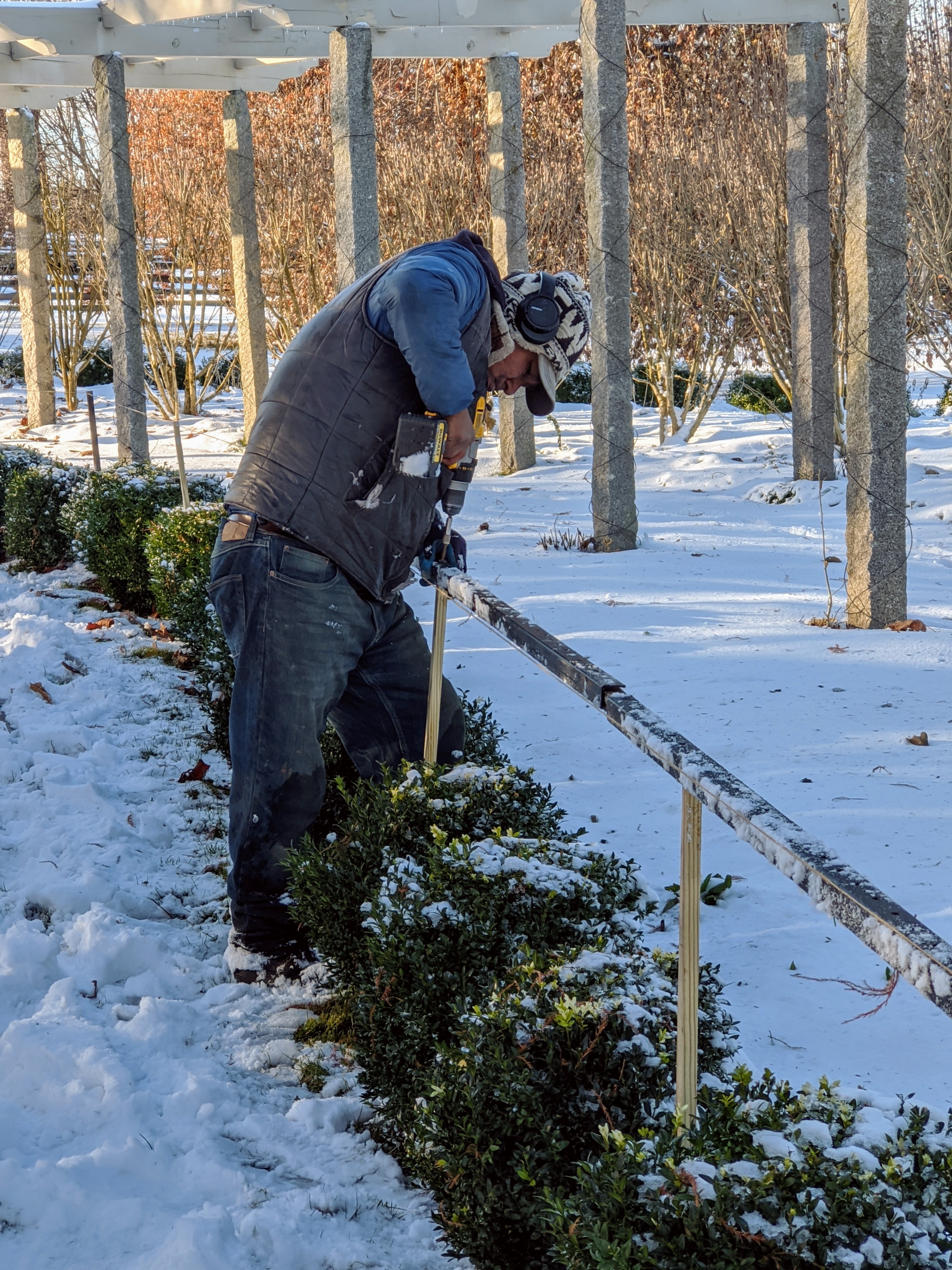 How to Protect Trees and Shrubs in Winter So They'll Spring Back – Garden  Betty