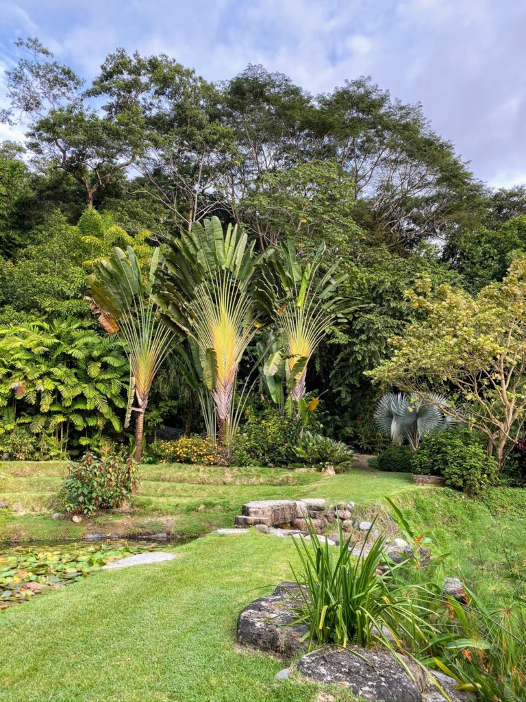My Holiday in Costa Rica - The Martha Stewart Blog