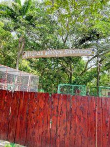 We also visited another mountain top animal facility, the Alturas Wildlife Sanctuary - dedicated to the protection and conservation of Costa Rica’s wildlife. the facility provides wildlife rehabilitation and environmental education and research.