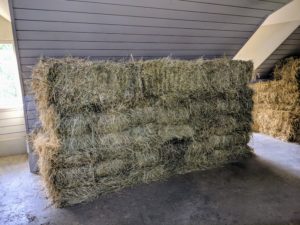 On one side of the hayloft, we store lots and lots of hay for my horses, which I grow and bale right here at the farm. If stacked carefully, the area can hold more than 2000 bales.