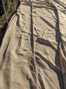 Here, it is easy to see how the sections are connected to create very wide burlap covers.