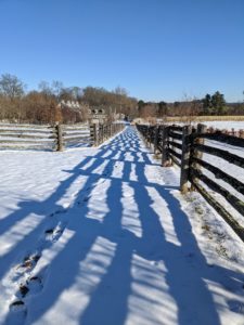 The fencing is 100-year old white spruce fencing from Canada with newer cedar uprights to support it. I love how it casts shadows in the snow.