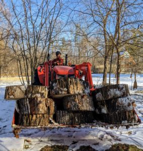 Once the bucket is full, Chhiring hauls the wood rounds away. It will take many trips to get them all. This Kubota is designed for heavy farm work and has about 60 to 70 horsepower.