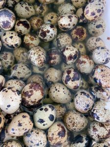 There were also quail eggs. Quail eggs are considered a delicacy in many parts of the world, including Asia, Europe, and North America.
