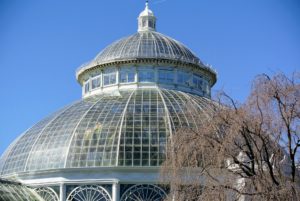 Originally constructed in 1902, the steel and glass Conservatory includes a 90-foot tall domed Palm Gallery and 10 attached glasshouse galleries.