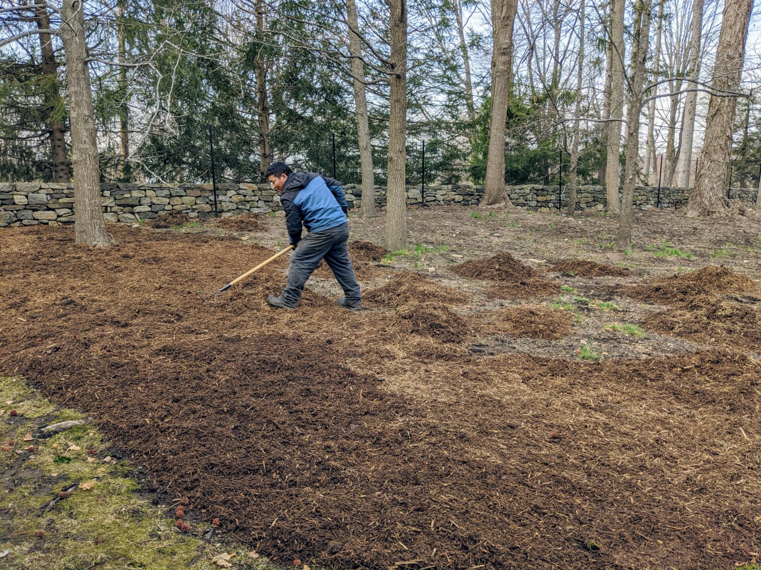 Mulching Around the Farm The Martha Stewart Blog