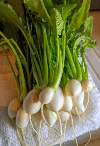 Look how beautiful and perfect these turnips are - and all grown in my garden.