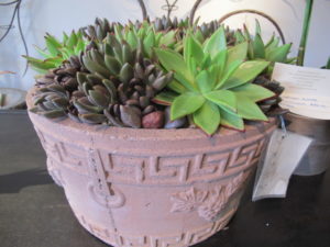 A stone terra cotta colored planter filled with succulents