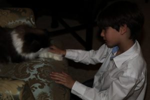 Spencer loved the cats and spent a long time with vivaldi the cat