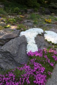 The Rock Garden is a dramatic three-acre oasis filled with thousands of jewel-like alpine flowers.