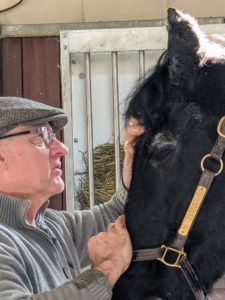 The key to working with horses is to gain their trust, which in turn helps them calm down. Brian spends a few minutes just talking to each horse before he begins working.