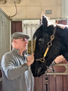 Regular dental exams and floating are an important part of a horse's preventative health care plan, so Brian comes to my stable twice a year. After a thorough exam, Brian says Sasa's teeth are in excellent condition and won't need any floating today.