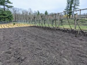 And here is the other garden next door - all completely tilled. I can’t wait to start planting. During this most difficult time, it's important to spend some time outdoors in the fresh air - I hope you can do that this weekend. Happy spring to all of you and please stay safe and healthy.